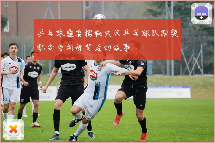 乒乓球盛宴揭秘武汉乒乓球队默契配合与训练背后的故事