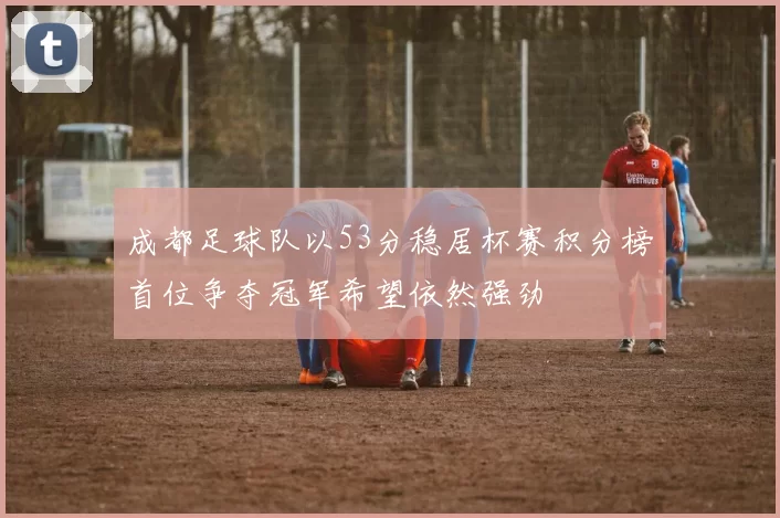 成都足球队以53分稳居杯赛积分榜首位争夺冠军希望依然强劲