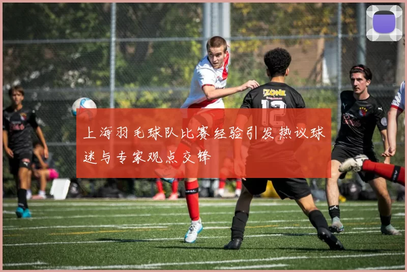 上海羽毛球队比赛经验引发热议球迷与专家观点交锋