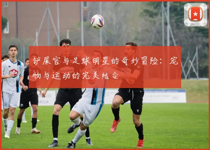 铲屎官与足球明星的奇妙冒险：宠物与运动的完美结合
