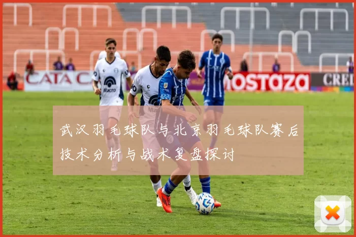 武汉羽毛球队与北京羽毛球队赛后技术分析与战术复盘探讨