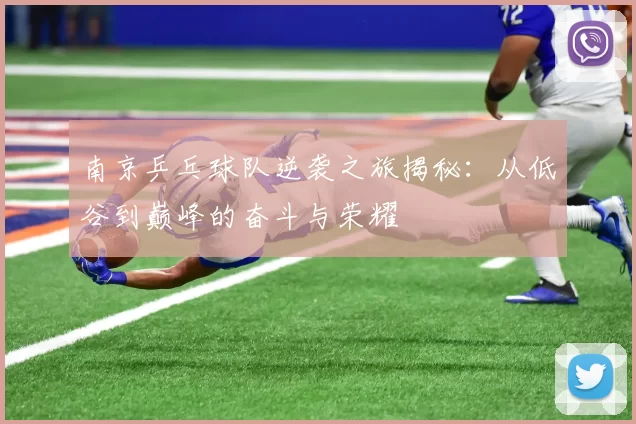 南京乒乓球队逆袭之旅揭秘：从低谷到巅峰的奋斗与荣耀