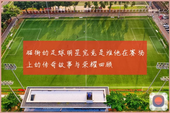 猫街的足球明星究竟是谁他在赛场上的传奇故事与荣耀回顾