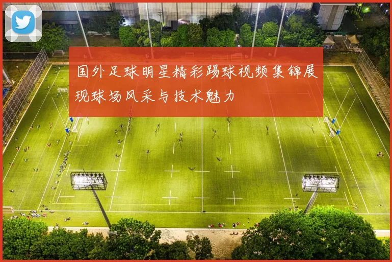 国外足球明星精彩踢球视频集锦展现球场风采与技术魅力