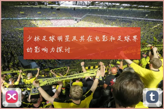 少林足球明星及其在电影和足球界的影响力探讨