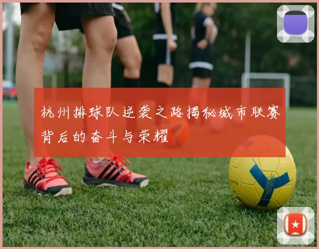 杭州排球队逆袭之路揭秘城市联赛背后的奋斗与荣耀