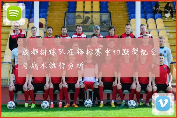 成都排球队在锦标赛中的默契配合与战术执行分析