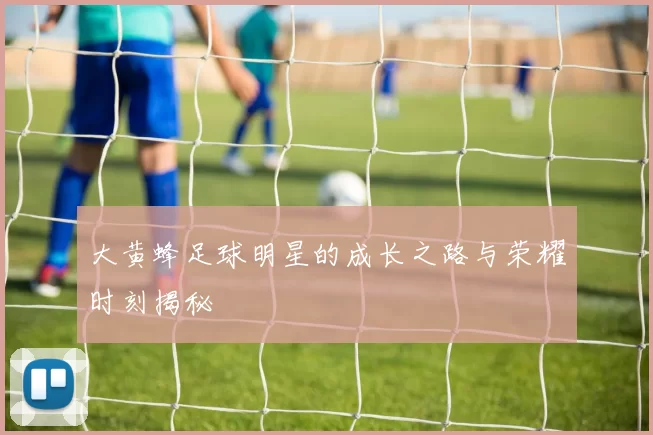 大黄蜂足球明星的成长之路与荣耀时刻揭秘
