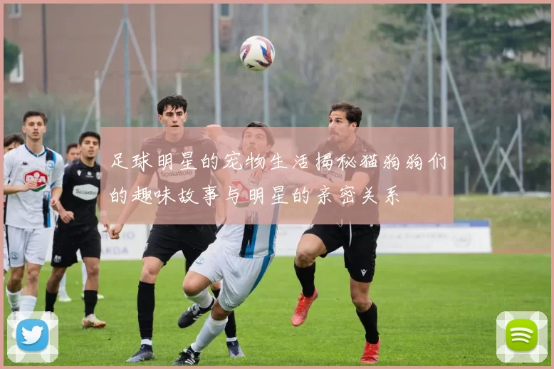 足球明星的宠物生活揭秘猫狗狗们的趣味故事与明星的亲密关系